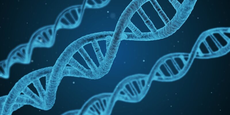 DNA – Bild: CC0 Creative Commons