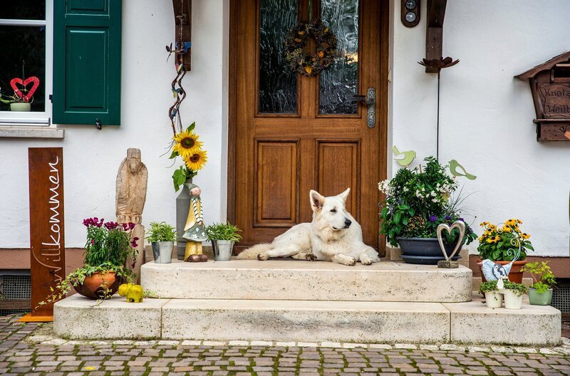 Der Hofhund vor der Haustür. – Bild: BR/​megaherz gmbh/​Moritz Sonntag