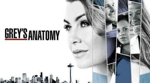 (14.Staffel) – Grey’s Anatomy – Die jungen Ärzte – Artwork – Bild: TF1