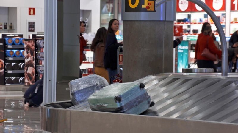 Bild: PLURIMEDIA (Discovery Channel)