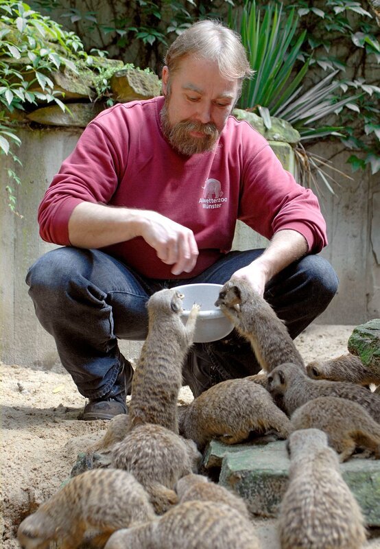 Pfleger Reinhold Evels füttert die Erdmännchen-Kolonie. – Bild: BR/​WDR/​Melanie Grande