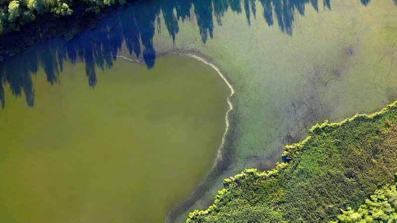 Das Besondere der Auen ist das Nebeneinander von Wäldern und Wasserflächen. Beinahe exotisch wirkt die Aulandschaft der Grenzmur-Au aus der Luft. – Bild: ORF/​Posch TV Filmproduktion/​Fabian Paal