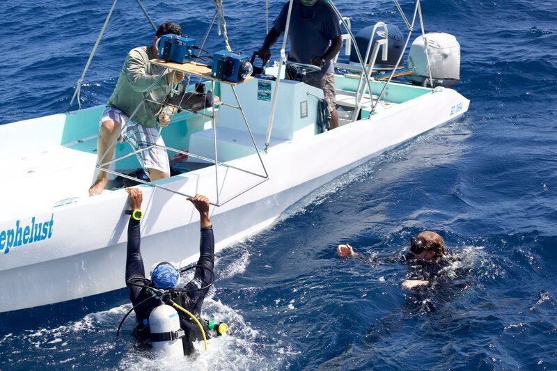 Meeresforscher William Heyman und Korallenexperte Myles Phillips (unten, l.) helfen dem Filmteam, spezielle Kameras unter Wasser zu positionieren, mit denen die Laich-Versammlung der Nassau-Zackenbarsche gefilmt wurde. – Bild: Terra Mater Studios GmbH /​ Tamara Stubbs
