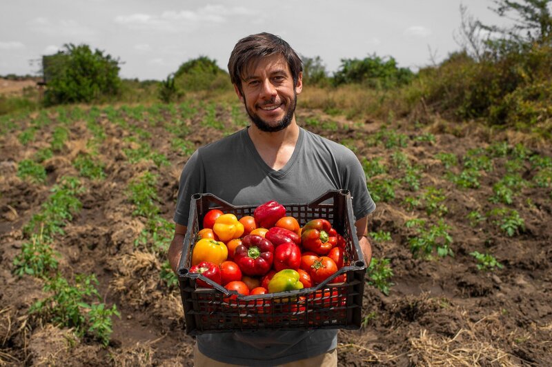 David Auerbach ist Mitbegründer und Präsident von Regen Organics, einem US-Unternehmen, das sich beim Aufbau nachhaltiger Landwirtschaft im Osten und Süden Afrikas betätigt. – Bild: Martin Buzora /​ BBC, Studio Silverback