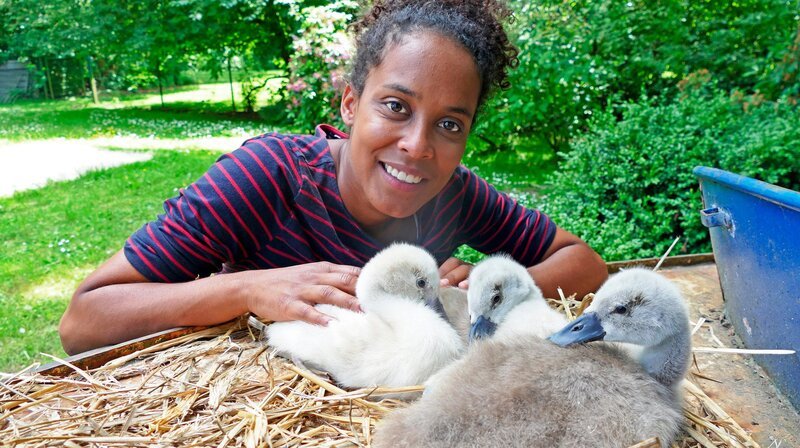 Pia ist ganz vernarrt in die drei flauschigen Schwanenküken. – Bild: BR/​TEXT + BILD Medienproduktion/​Kathrin Gutzeit