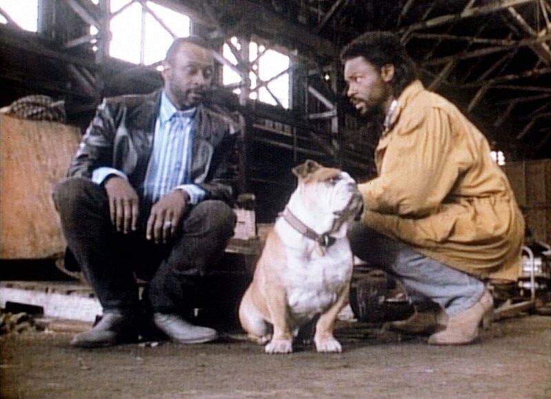 Jesse (Richard Lawson, r.) und Frank (Cleavon Little, l.) überdenken noch einmal den Fall und kommen auf eine neue Erkenntnis. – Bild: Kabel Eins Classics