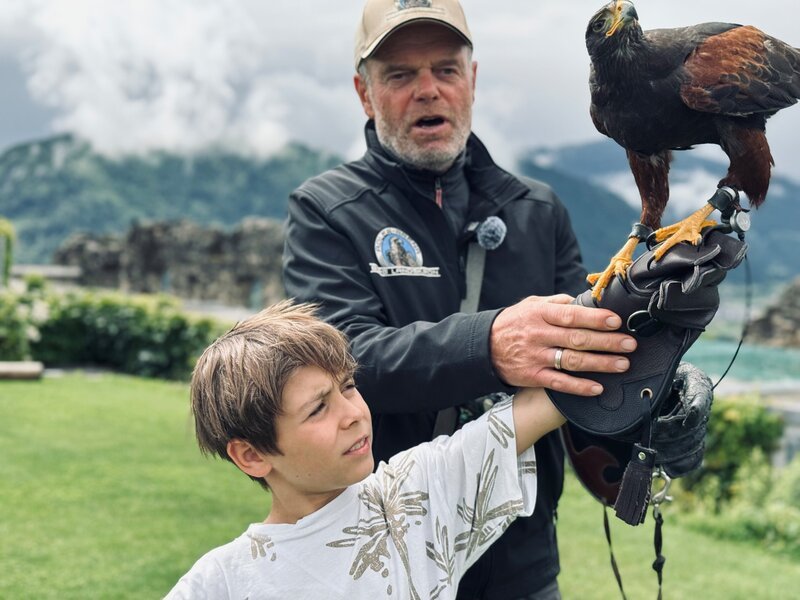Auf der Burg Landskron in Kärnten begegnen die „Abenteuer-Checker“ Benni und Gucki hautnah Greifvögeln wie diesem Wüstenbussard. – Bild: ORF/​Mabon Film