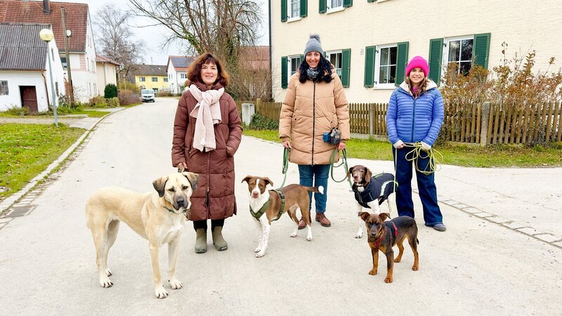 Beim Gassi erklären Karina und Angelika Anna wie man eine Pflegestelle für Tierschutzhunde wird. Von links: Angelika Kissing, Karina Schnell und Anna. – Bild: BR/​TEXT+BILD Medienproduktion GmbH & Co. KG/​Katharina Brackmann