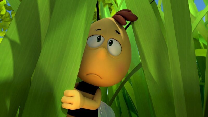 Willi hat sich mit Maja gestritten und ist traurig. – Bild: ZDF/​Studio100 Animation