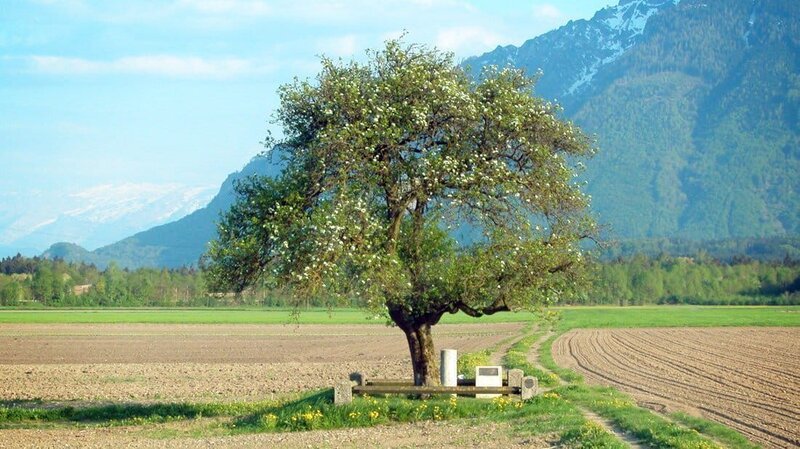 Universum: „Untersberg – Sagenreiche Natur“, Der Untersberg gilt als der sagenreichste Berg der Alpen – reich an Mythen und Höhlen. Ein riesiger Gebirgsstock zwischen Salzburg und Bayern. Der Hausberg für Tausende Städter, von den Bewohnern der Region auch Wunderberg genannt. Die unverwechselbaren Menschen der wunderschönen Landschaft erzählen ihre Geschichten und gewähren Einblick in ein vom Berg geprägtes Leben. Unaufgeregte und bescheidene Menschen, die gelernt haben, in und mit der Natur zu leben: Sennerinnen und Hüttenwirte, Skitourengeher, Höhlenforscher und Kletterer. Doch immer mehr Menschen suchen im Gebirge neue Herausforderungen und den besonderen Nervenkitzel. 500.000 Menschen im Jahr besuchen den Untersberg. – Bild: ORF/​DEGN-Film