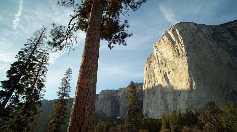 Der Yosemite Nationalpark bedeckt eine Fläche von über 3000 Quadratkilometer. – Bild: NDR/​Doclights GmbH/​Uwe Anders