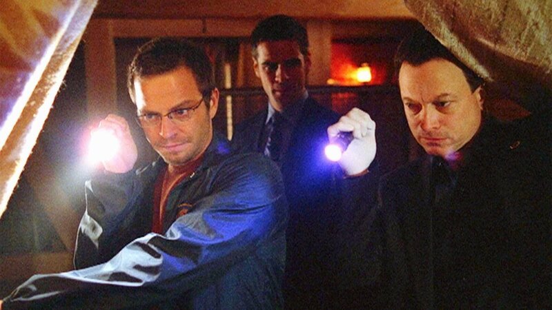 Von links: Im Garten des Erschossenen entdecken Danny (Carmine Giovinazzo), Flack (Eddie Cahill) und Mac (Gary Sinise) ein großes hölzernes Schiff – die Arche Noah? – Bild: MG RTL D /​ CBS