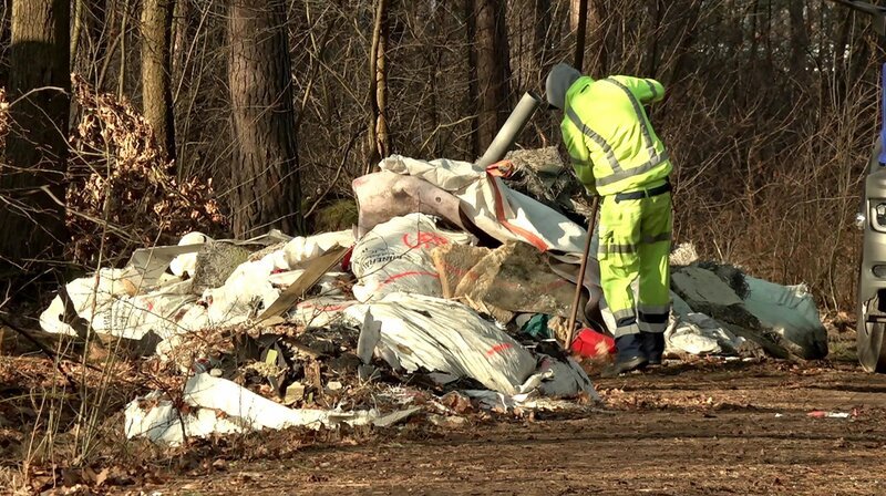 Aufräumaktion im Wald. – Bild: rbb/​Roman Garthoff