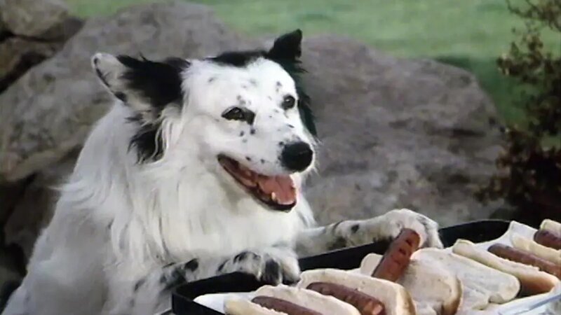 . – Bild: Bibel TV