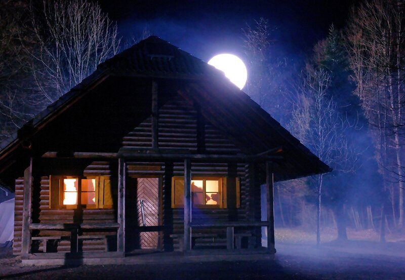 Die Jägerhütte im Wald. – Bild: SWR/​SWR/​Peter A. Schmidt