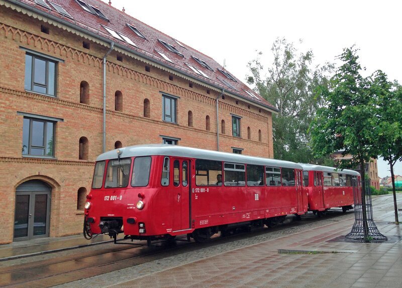 Ferkeltaxe an der Endstation. – Bild: SWR/​Kirsten Ruppel