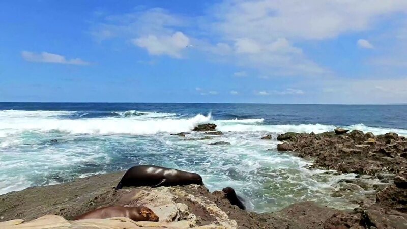 Architekt Michael und seine Frau Tracy aus Long Beach, Kalifornien, haben genug vom Leben in der Großstadt und beschließen, mit ihren vier Kindern nach Catalina Island umzuziehen. Im 3000 Einwohner-Inselhauptort Avalon suchen sie nun nach einem modern ausgestatteten Eigenheim mit ausgefallenem Design und schönem Meerblick. Das Ehepaar hatte sich während einer Geschäftsreise in die Insel mit ihren traumhaften Stränden verliebt und ist sicher, dass es der perfekte Ort ist, um Kinder großzuziehen. – Bild: Tanja Bachetzky /​ HGTV