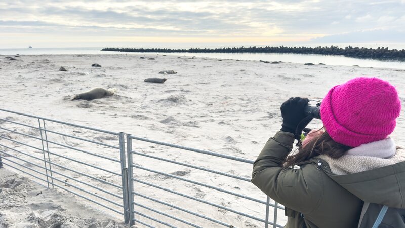 Anna unterstützt die Ranger auf Helgoland dabei, die Kegelrobben zu zählen. Sie wollen wissen, wieviel Jungtiere dieses Jahr geboren werden. – Bild: BR/​TEXT+BILD Medienproduktion GmbH & Co. KG/​Mi-Yong Brehm