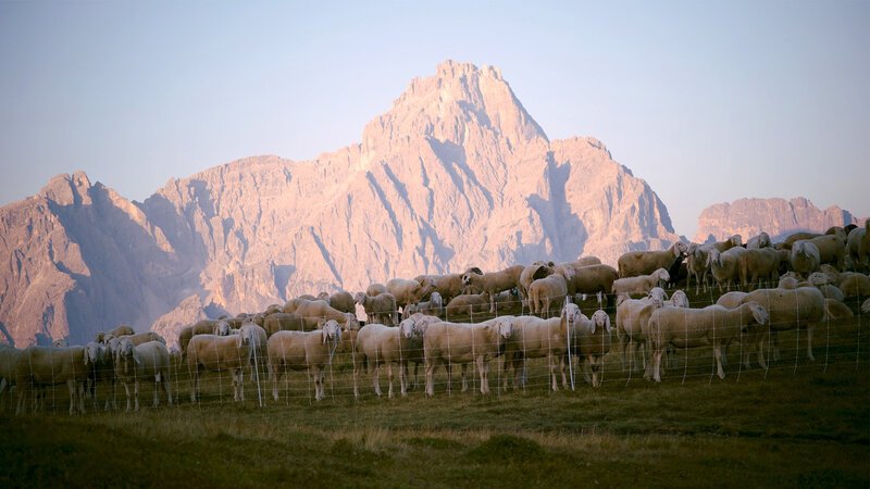 Bild: Bergblick