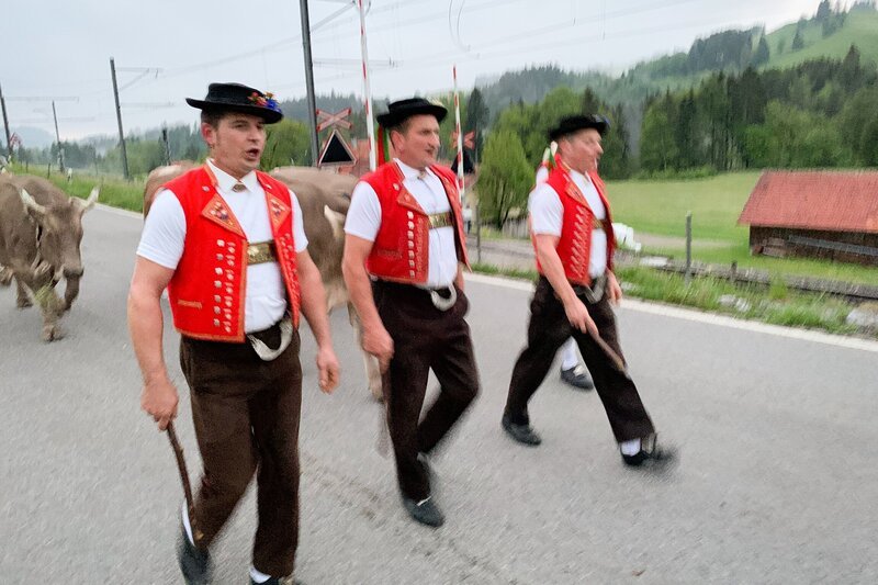 Alpaufzug Appenzell – Bild: SRF