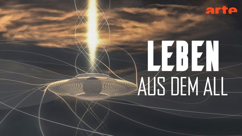 Bild: Arte Bild: Arte
