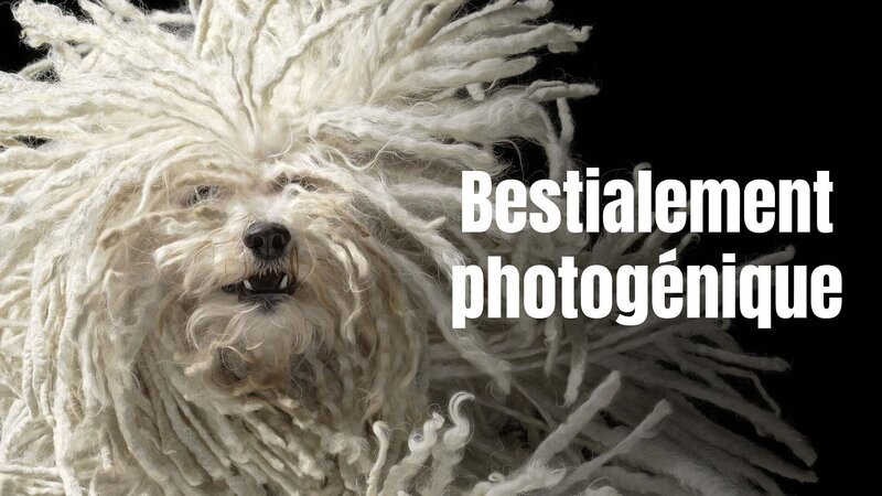 Bild: Arte
