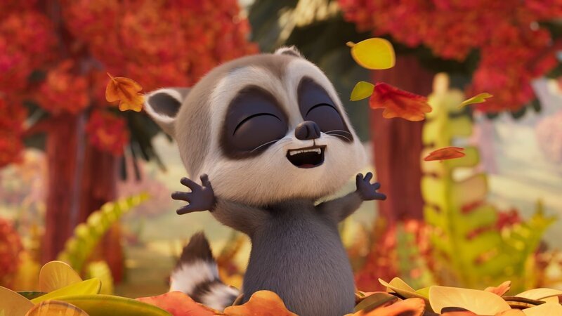 Baby Raccoon – Bild: Studio Hari