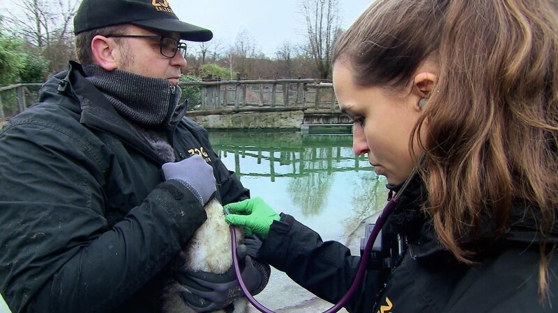 Bild: RTL