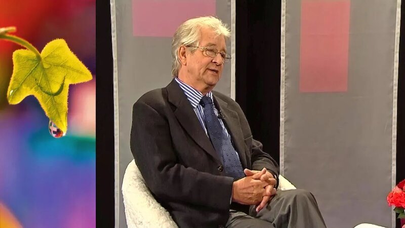 . – Bild: Bibel TV
