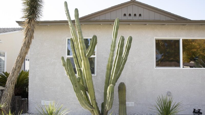 Dieses Bild darf ausschließlich zur Programmankündigung verwendet werden. – Bild: Discovery, Inc. /​ Mark von Holden