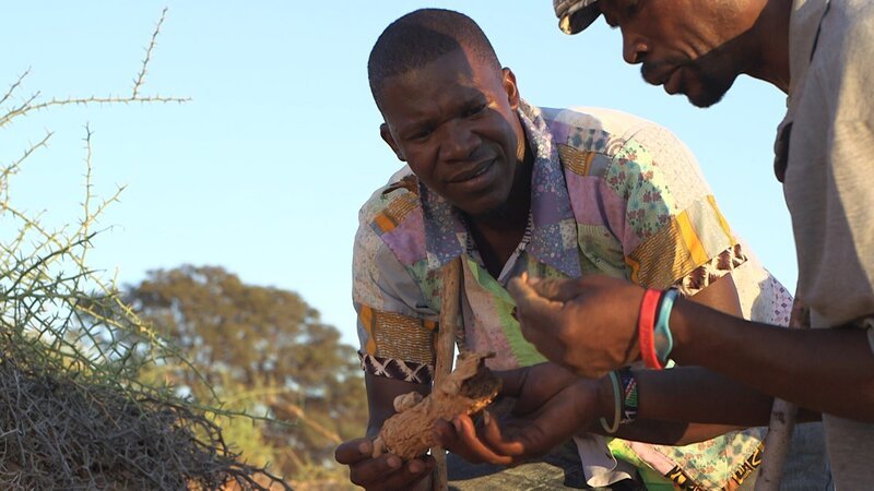 In der Namib-Wüste: Die Wurzel der kürbisähnlichen ‚iNara‘ hilft bei Diabetes und Bluthochdruck. – Bild: ZDF/​SWR