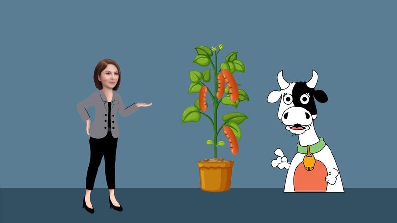 Die Art der Ernährung ist mittlerweile eine Glaubensfrage - umso wichtiger, hartnäckige Mythen auf harte Fakten treffen zu lassen. – Bild: BR/​ORF/​WMA