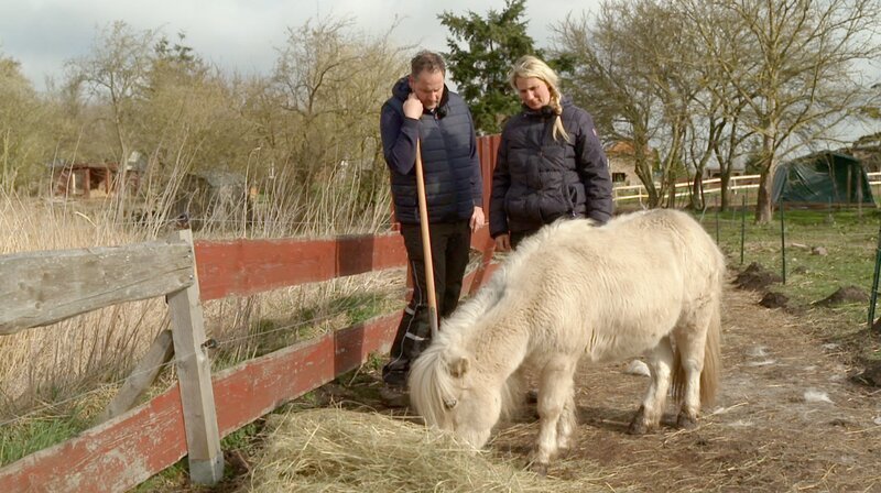 Nadine Gronek und Marcel Gürnth versuchen Tiere zu retten, die misshandelt oder nicht artgerecht gehalten wurden und sie an verantwortungsvolle Halter weiterzuvermitteln. – Bild: NDR/​AP Hanse TV