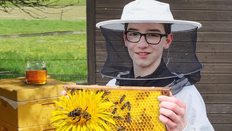 Der 13-jährige Timo wird Imker. – Bild: ZDF