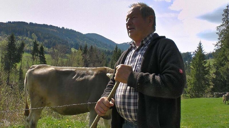 High time for the cattle drive! The first snow will soon fall in the Allgäu, which is why the shepherds are driving their flocks back into the valley. – Bild: Discovery Channel