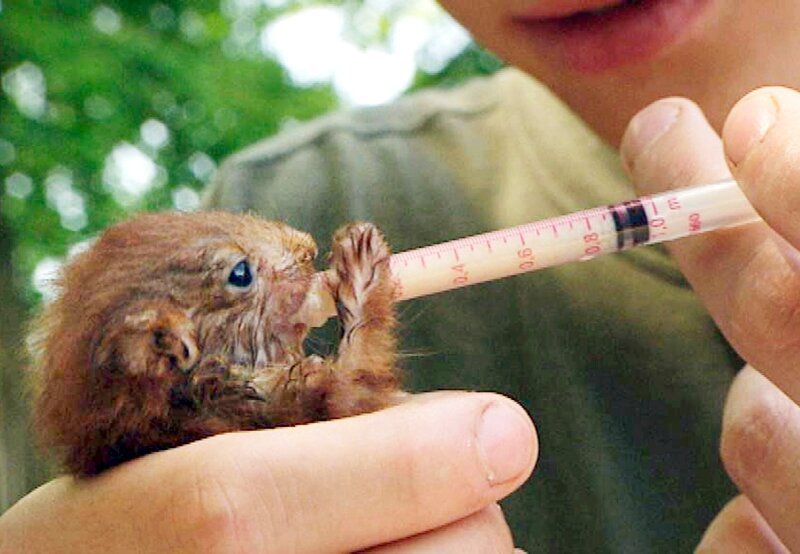 Bild: NDR/​Naturfilm