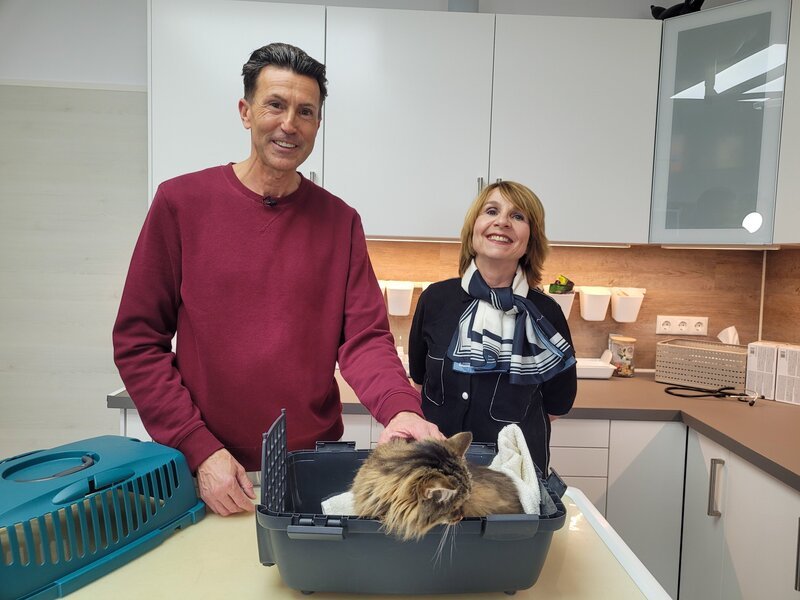 Christian Rest und Stefanie Spitzy mit Katze Suzi. "UNGEZIEFER BEI TIEREN": Hinweise zu Zecken, Flöhen und Tierarztbesuch bei Freigängerkatzen. – Bild: ORF/​On-Media
