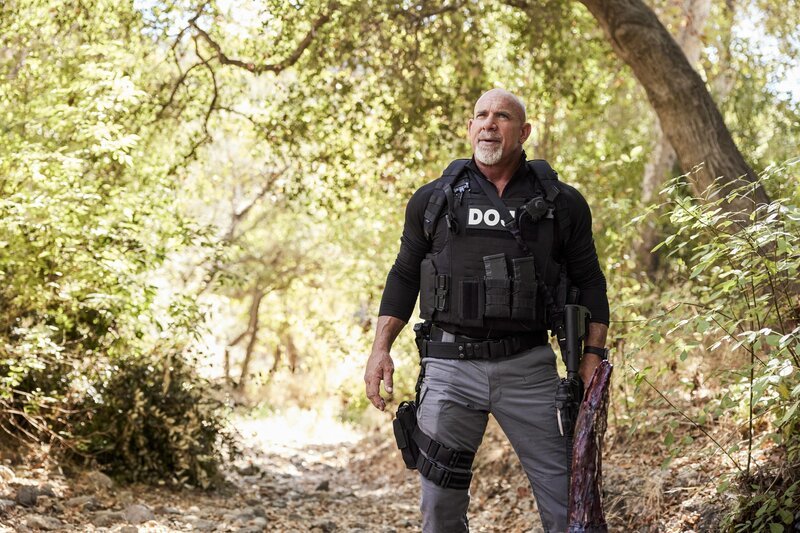 Lance Hamilton (Bill Goldberg) – Bild: Kabel Eins