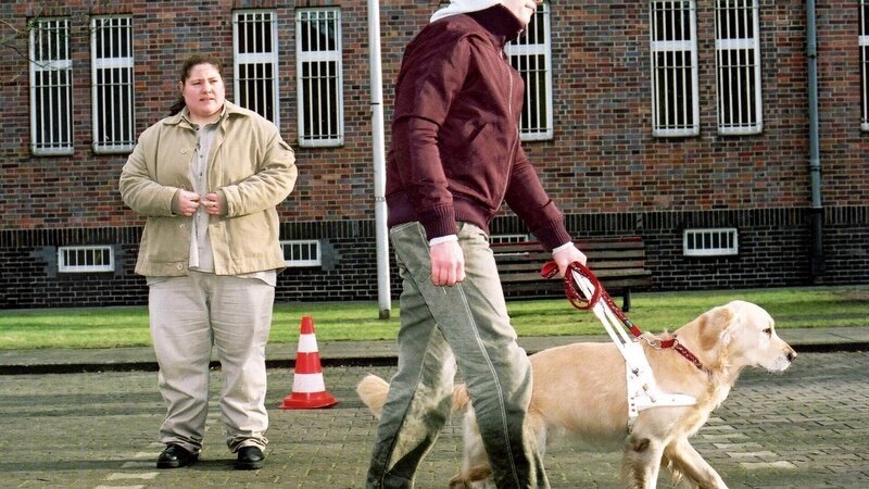 Nancy (Livia S. Reinhard) sabotiert Roxys Eignungstest mit Lukas (David Kramer) zum Blindenhund, um das Tier behalten zu können … – Bild: Foto: MG RTL D /​ Richard Hübner