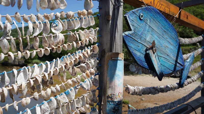 Detailaufnahme von Emil Sošić’ Austernfarm. – Bild: ServusTV /​ pr-video.at /​ Marcel Paal