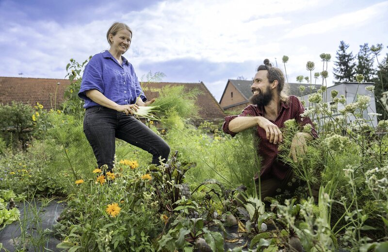 Lisa und Andy ernten im Garten. – Bild: MDR/​rbb/​Mia Media