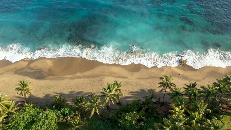 Destination Staffel 4 Episode 10 Puerto Rico Ein Strand in der Karibik. – Bild: SRF/​ARTE Elephant Adventures