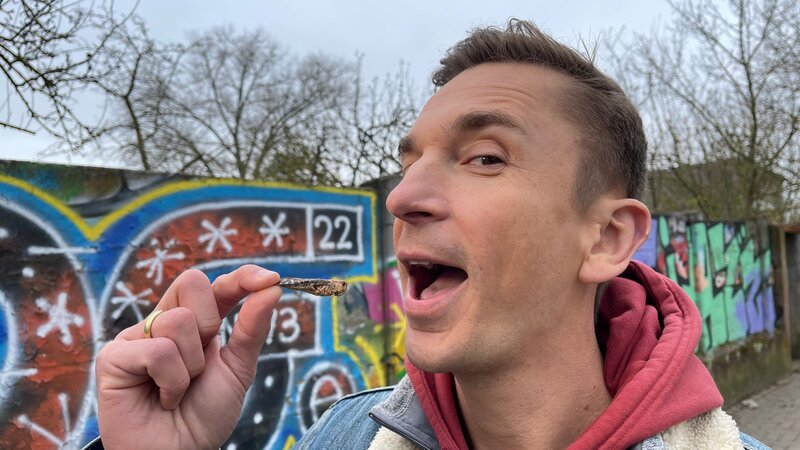 „PUR+“-Moderator Eric Mayer will es wissen: Wie schmeckt eine geröstete Heuschrecke? – Bild: Sandra Palm /​ ZDF