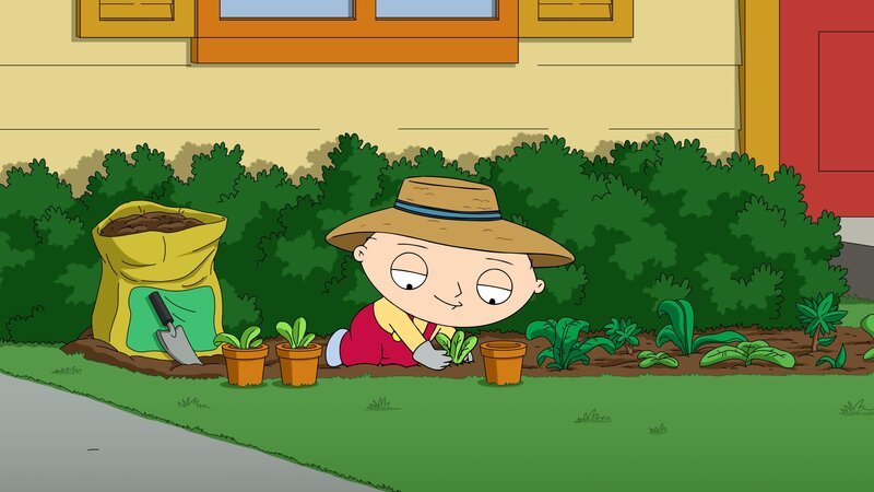 Stewie Griffin – Bild: 20th Television