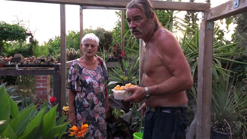 Hajo steht vor einem Dilemma: Er hat einen ganzen Baum voller Mirabellen und weiß nicht, wie er sie verarbeiten soll. Doch es gibt Hoffnung! Die 85-jährigen Ingrid, Meisterin der Likörherstellung und Profibäckerin, weiß ihm zu helfen. – Bild: RTLZWEI