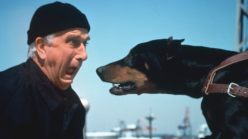 Lt. Frank Drebin (Leslie Nielsen) hat mal wieder alle Hände voll zu tun und läuft von Katastrophe zu Katastrophe. – Bild: Paramount Pictures
