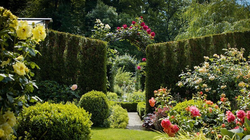 Hinter den Hecken Garten(t)räume – Garten in Merligen BE Staffel 6 Folge 1 Der «Buchsgarten» ist den Bauern- & Klostergärten nachempfunden. – Bild: SRF
