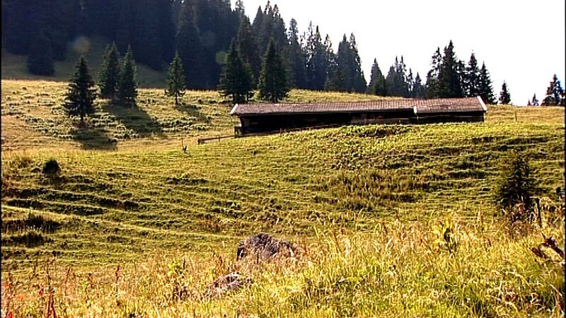 Uschis Alm hoch über dem Tegernsee. – Bild: Bayerischer Rundfunk