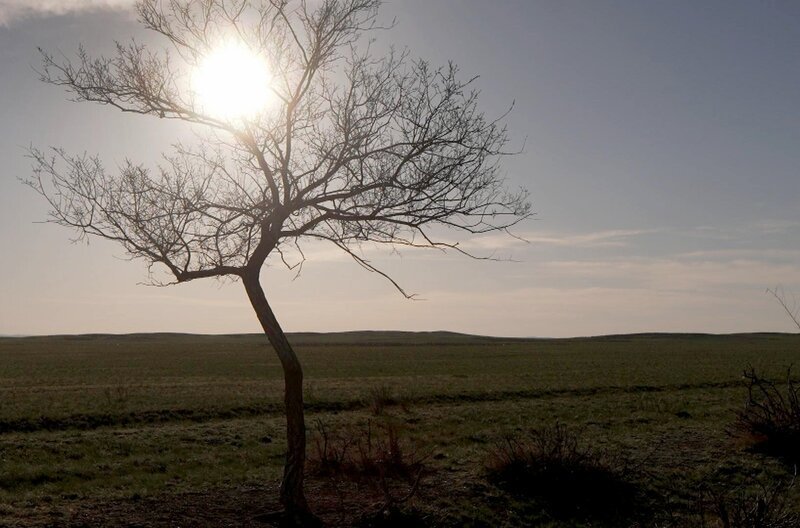 In seinen Erzählungen und Romanen erweckt er die kasachische Steppe zum Leben: Muchtar Äuesow gilt als einer der größten Schriftsteller seines Landes. – Bild: Elephant Doc