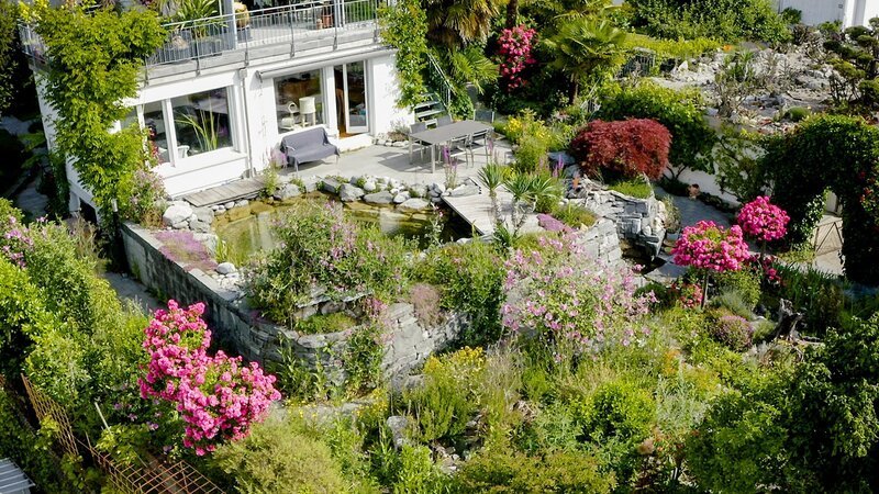 Hinter den Hecken Kakteengarten in Biberist SO Staffel 6 Folge 2 Der Garten des angefressener «Kaktüsslers», Christof Leimer in Biberist. 2023 – Bild: SRF